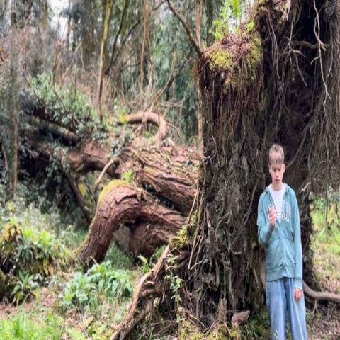 Reconnect With Nature