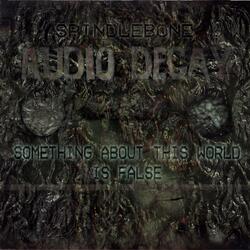 Something About This World False