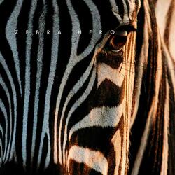 Zebra Hero