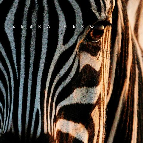 Zebra Hero