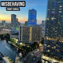 Misbehaving