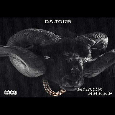 Black Sheep