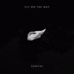 Fly on the way