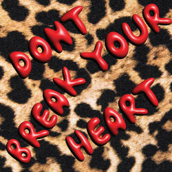 DONT BREAK YOUR HEART