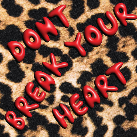 DONT BREAK YOUR HEART