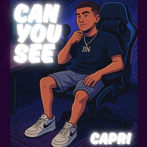 Can you see
