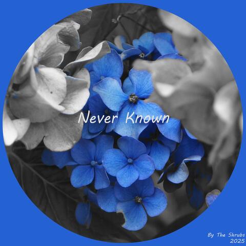 Never Known
