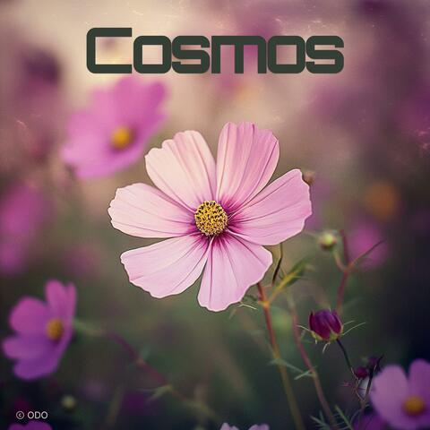 Cosmos