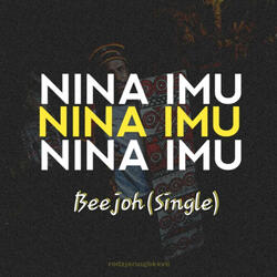 NINA IMU