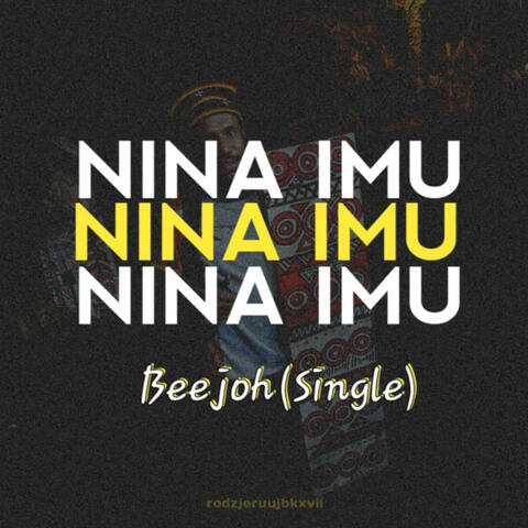 NINA IMU