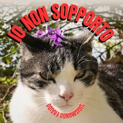 IO NON SOPPORTO