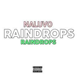 Raindrops