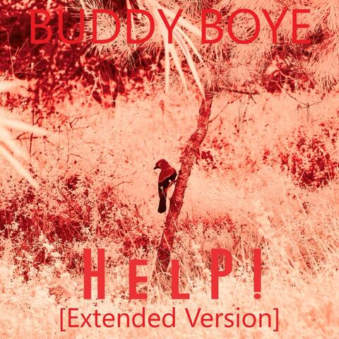 Help! (Extended Version)