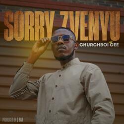 Sorry Zvenyu