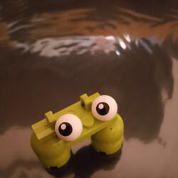 Holy Toad!
