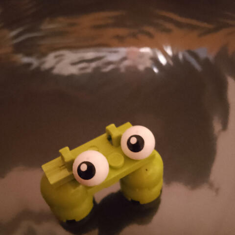 Holy Toad!