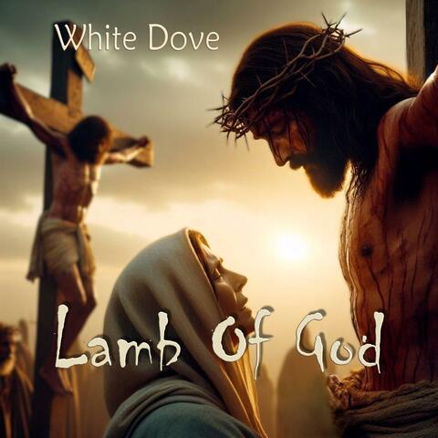 Lamb Of God