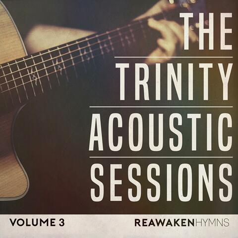 The Trinity Acoustic Sessions, Vol. 3 (Reawaken Hymns)