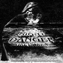 The 401 In A Snowstorm Elicits Extreme Nihilism