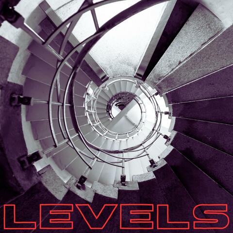 LEVELS (feat. 1MBeats)