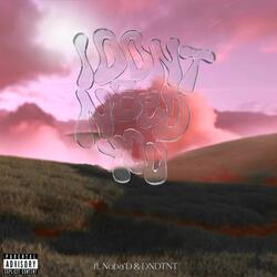I Don't Need You (feat. DNDTNT & NoBa’D)