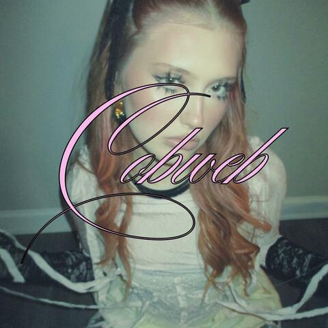 Cobweb