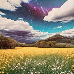 Solace