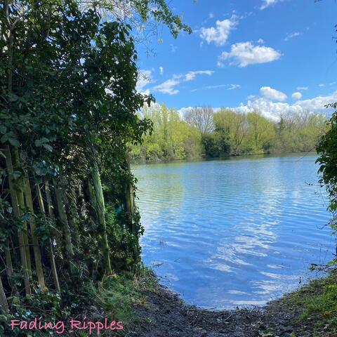 Fading Ripples