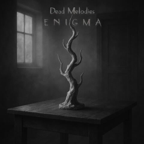 Enigma