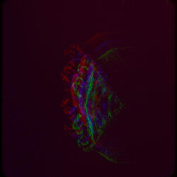 Children of the Black Hole