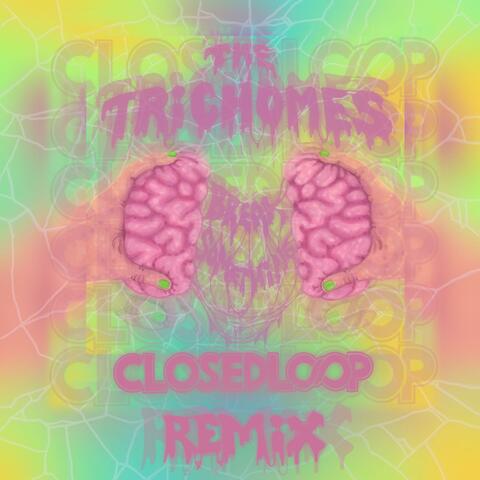 Break Something (feat. The Trichomes) [Closed Loop Remix]