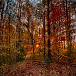 itdoesntgetdarkat5pmanymore.