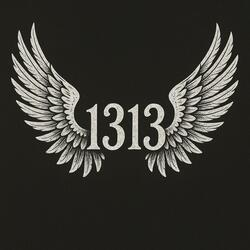 -Weil ich immer wieder aufsteh-