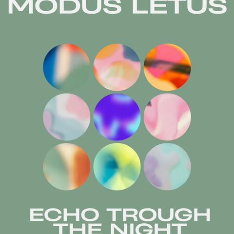 Echo Trough The Night