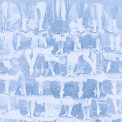 Lesser Metatarsals