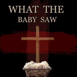 What the Baby Saw