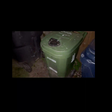 Errant Vegetables // Languor Hunger