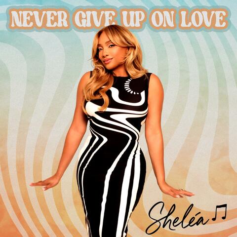 Never Give Up On Love