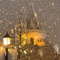 night lights blind my eyes