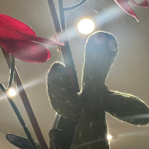 Songs of sweet dreams and horrible nightmares