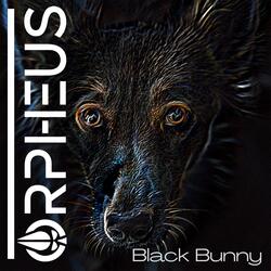 Blackbunny