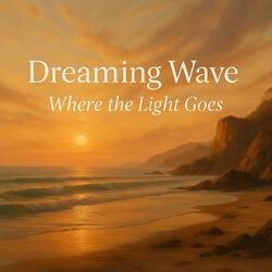 Where the Light Goes