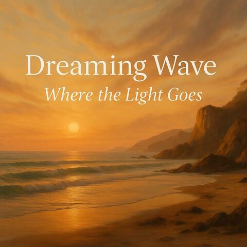 Where the Light Goes