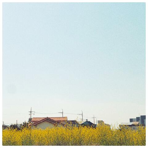 Little Windy Day In Jeju