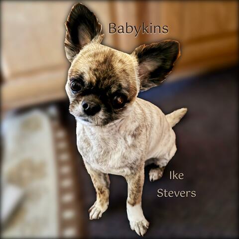 Babykins
