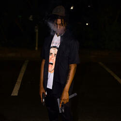 No Tint