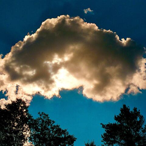 dirty rotten soldier