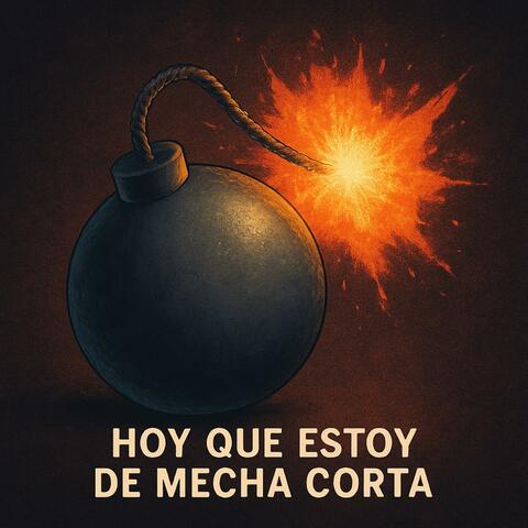 Hoy Que Estoy De Mecha Corta