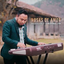 Rosas de amor