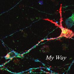 My Way